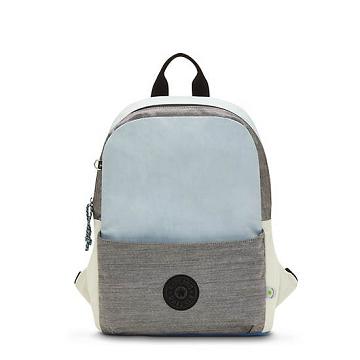 Kipling Sonnie 15" Backpack Laptoptassen Grijs | België 1543GS